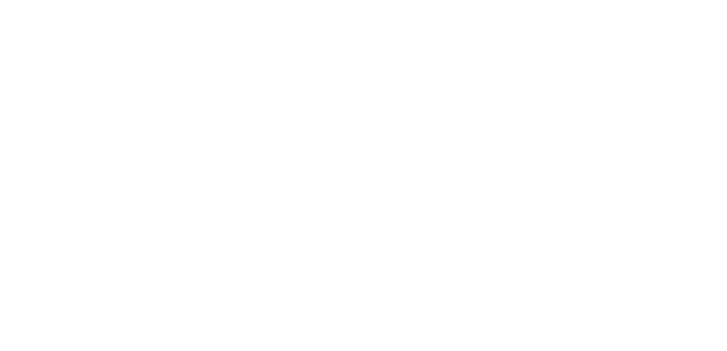 The Optimist Citizen